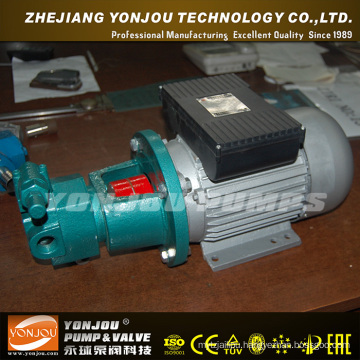Yonjou Hydraulic Pump (BBG)